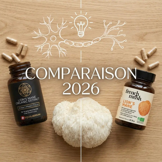 Comparatif Lion's Mane French Mush et Swiss Equilibrium (Hericium erinaceus)